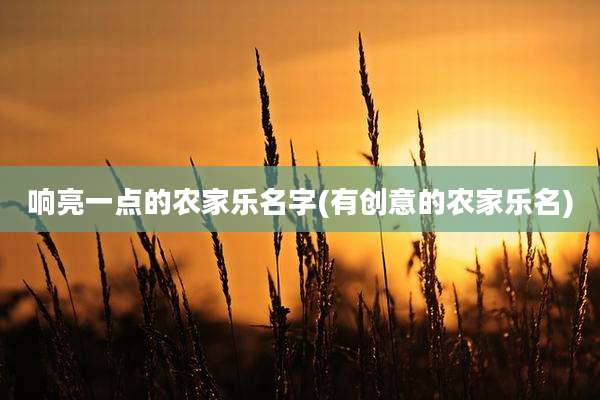响亮一点的农家乐名字(有创意的农家乐名)
