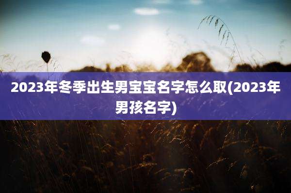 2023年冬季出生男宝宝名字怎么取(2023年男孩名字)