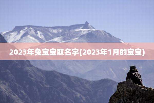2023年兔宝宝取名字(2023年1月的宝宝)
