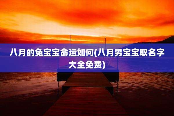 八月的兔宝宝命运如何(八月男宝宝取名字大全免费)