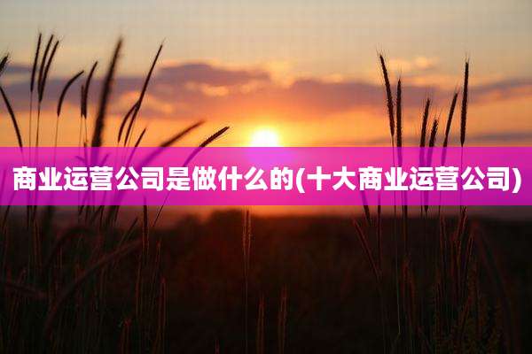 商业运营公司是做什么的(十大商业运营公司)