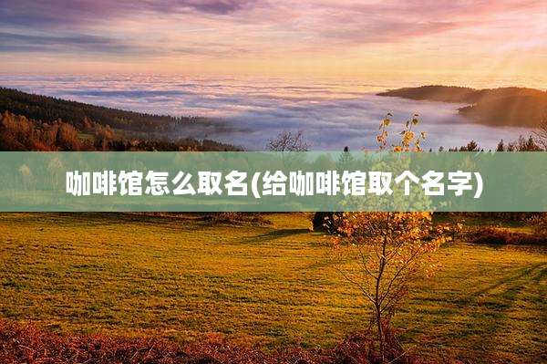 咖啡馆怎么取名(给咖啡馆取个名字)