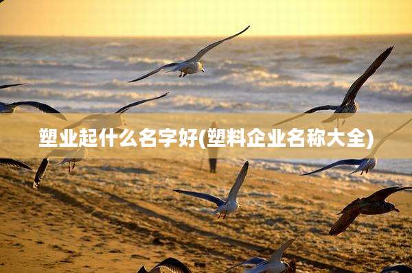 塑业起什么名字好(塑料企业名称大全)