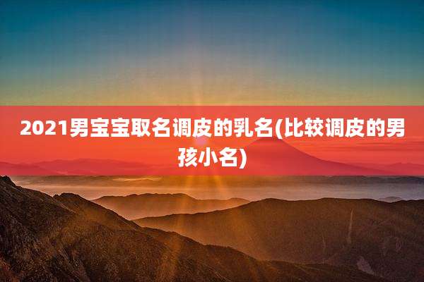 2021男宝宝取名调皮的乳名(比较调皮的男孩小名)
