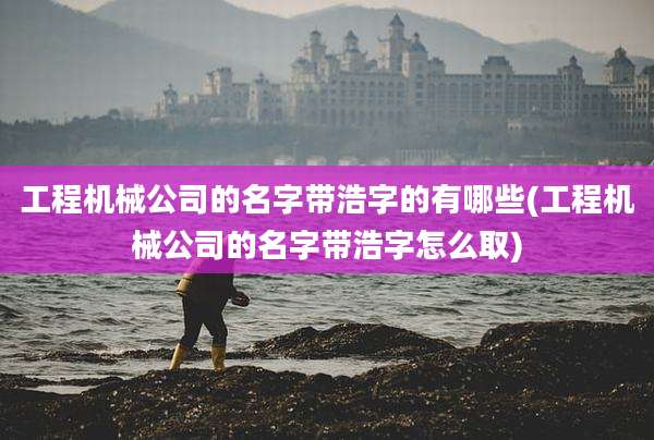 工程机械公司的名字带浩字的有哪些(工程机械公司的名字带浩字怎么取)