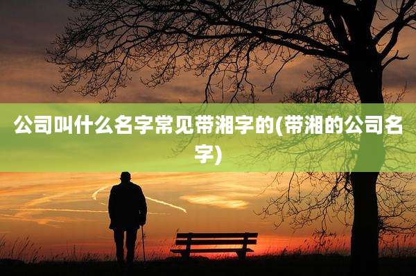 公司叫什么名字常见带湘字的(带湘的公司名字)