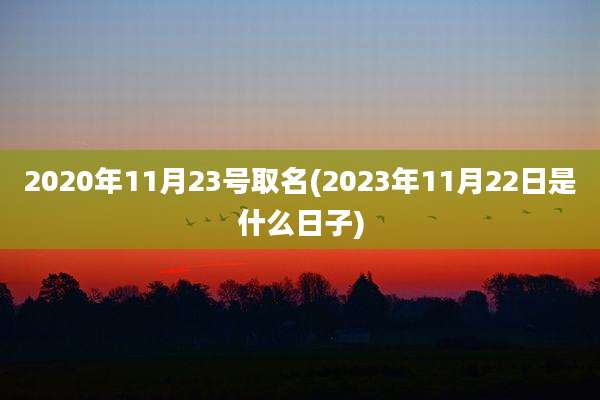 2020年11月23号取名(2023年11月22日是什么日子)