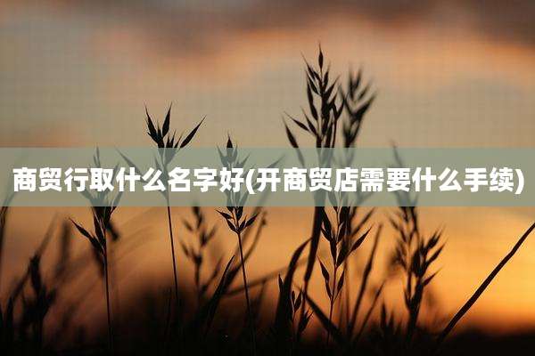 商贸行取什么名字好(开商贸店需要什么手续)