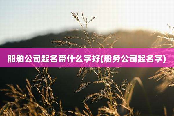 船舶公司起名带什么字好(船务公司起名字)