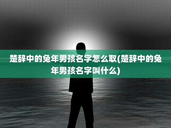 楚辞中的兔年男孩名字怎么取(楚辞中的兔年男孩名字叫什么)