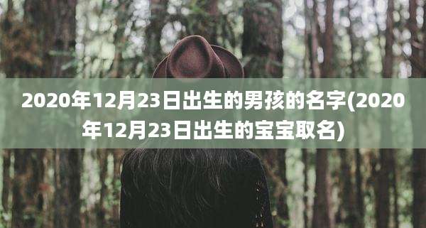2020年12月23日出生的男孩的名字(2020年12月23日出生的宝宝取名)