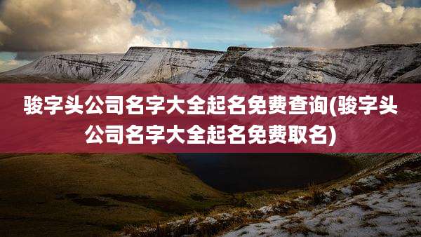 骏字头公司名字大全起名免费查询(骏字头公司名字大全起名免费取名)