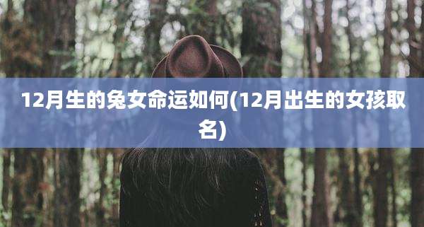 12月生的兔女命运如何(12月出生的女孩取名)
