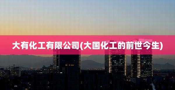 大有化工有限公司(大国化工的前世今生)