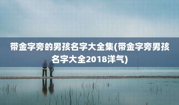 带金字旁的男孩名字大全集(带金字旁男孩名字大全2018洋气)