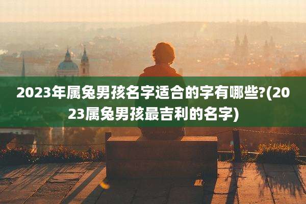 2023年属兔男孩名字适合的字有哪些?(2023属兔男孩最吉利的名字)