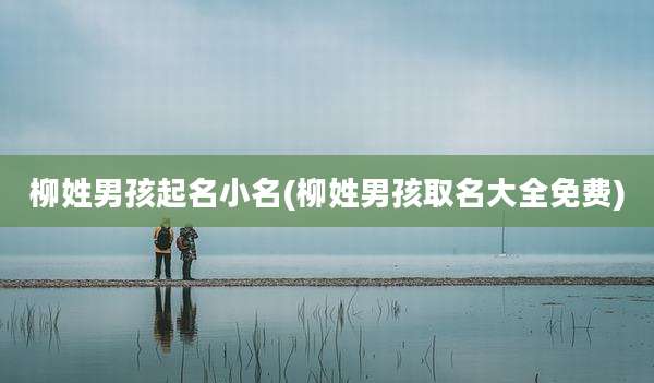 柳姓男孩起名小名(柳姓男孩取名大全免费)