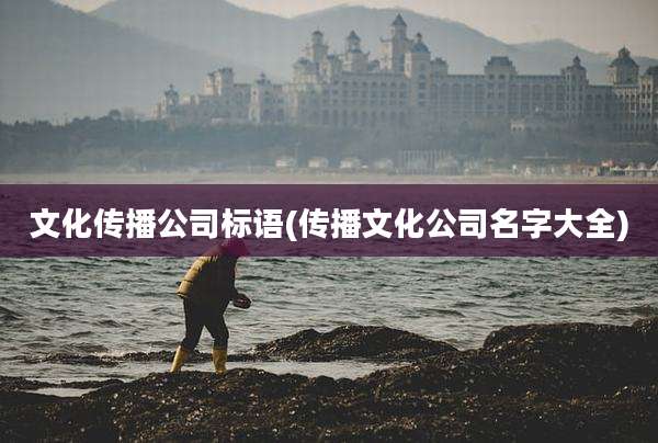 文化传播公司标语(传播文化公司名字大全)