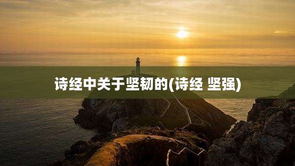 诗经中关于坚韧的(诗经 坚强)