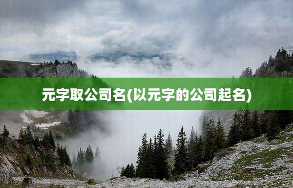 元字取公司名(以元字的公司起名)