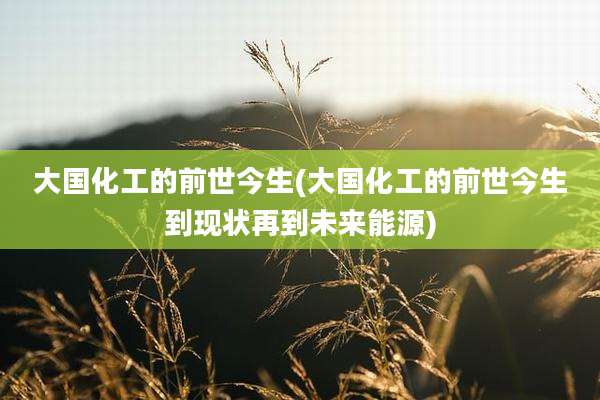 大国化工的前世今生(大国化工的前世今生到现状再到未来能源)