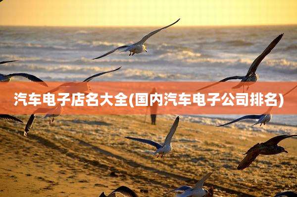 汽车电子店名大全(国内汽车电子公司排名)