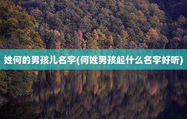 姓何的男孩儿名字(何姓男孩起什么名字好听)