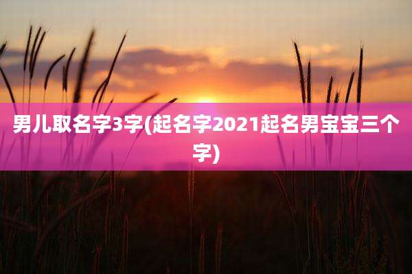 男儿取名字3字(起名字2021起名男宝宝三个字)