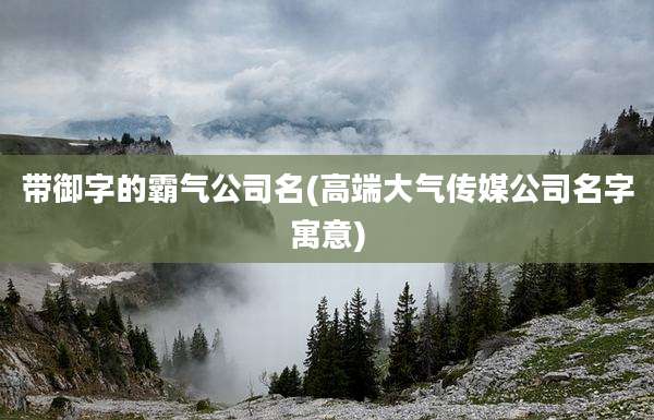 带御字的霸气公司名(高端大气传媒公司名字寓意)