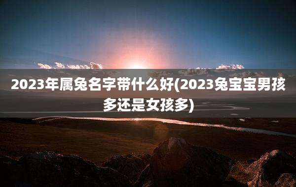 2023年属兔名字带什么好(2023兔宝宝男孩多还是女孩多)