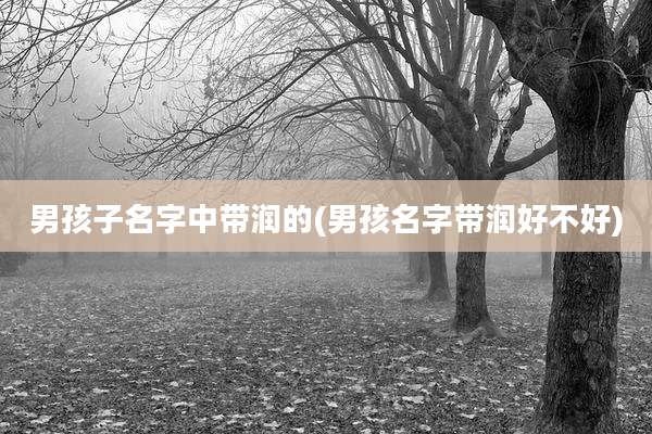 男孩子名字中带润的(男孩名字带润好不好)