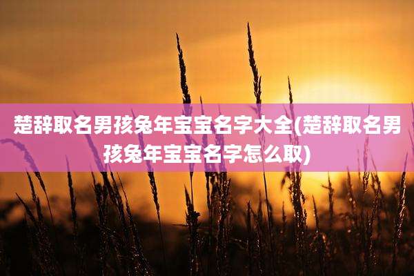楚辞取名男孩兔年宝宝名字大全(楚辞取名男孩兔年宝宝名字怎么取)