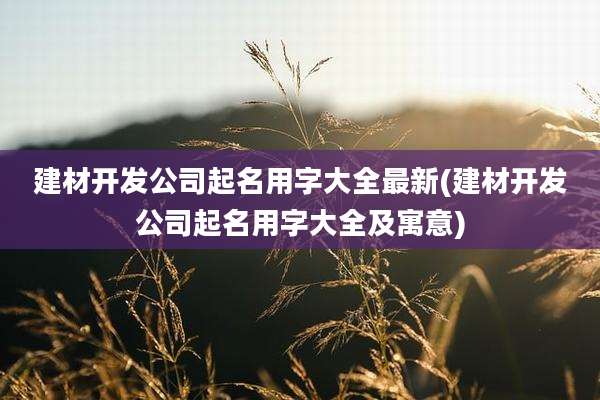 建材开发公司起名用字大全最新(建材开发公司起名用字大全及寓意)