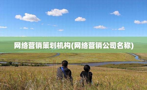 网络营销策划机构(网络营销公司名称)