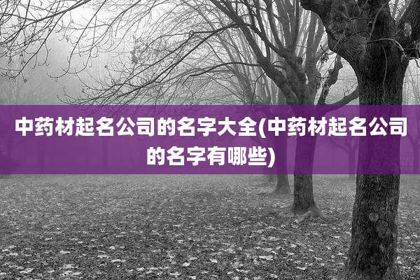 中药材起名公司的名字大全(中药材起名公司的名字有哪些)