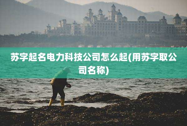 苏字起名电力科技公司怎么起(用苏字取公司名称)
