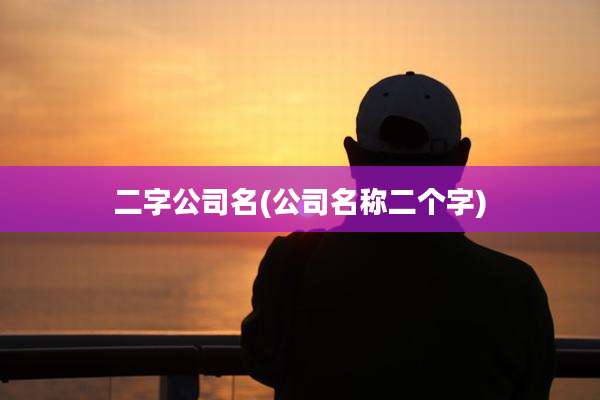 二字公司名(公司名称二个字)
