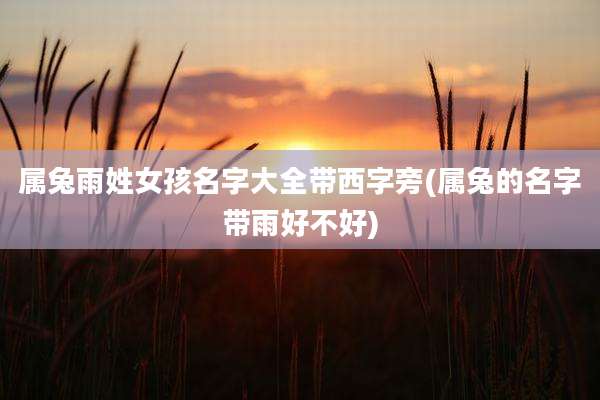 属兔雨姓女孩名字大全带西字旁(属兔的名字带雨好不好)