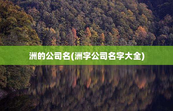 洲的公司名(洲字公司名字大全)