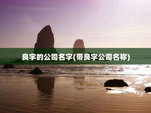 良字的公司名字(带良字公司名称)