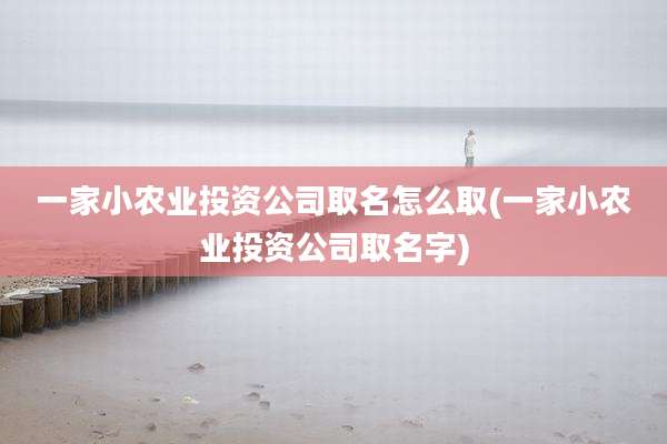 一家小农业投资公司取名怎么取(一家小农业投资公司取名字)