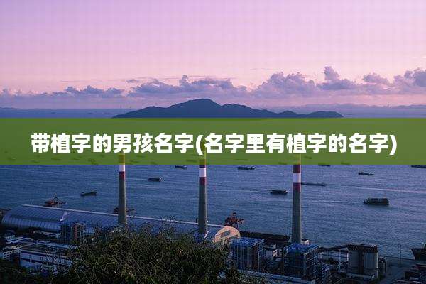 带植字的男孩名字(名字里有植字的名字)