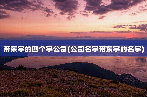 带东字的四个字公司(公司名字带东字的名字)