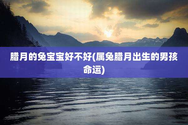 腊月的兔宝宝好不好(属兔腊月出生的男孩命运)
