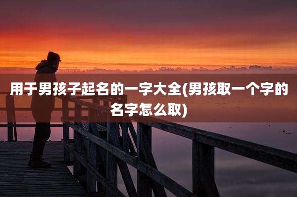 用于男孩子起名的一字大全(男孩取一个字的名字怎么取)