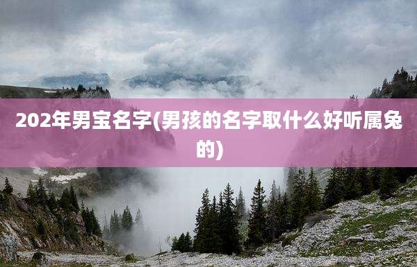 202年男宝名字(男孩的名字取什么好听属兔的)