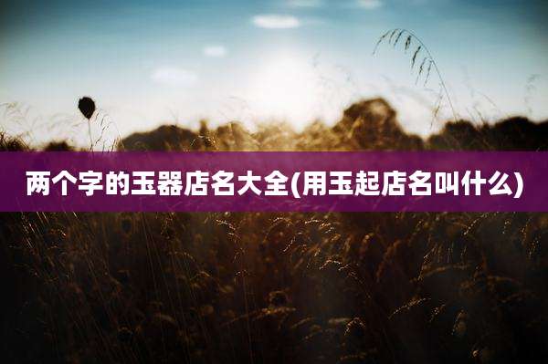 两个字的玉器店名大全(用玉起店名叫什么)