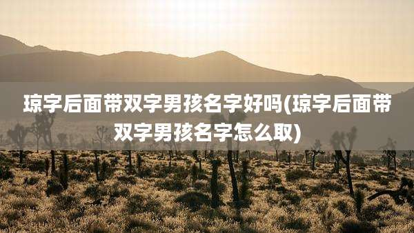 琼字后面带双字男孩名字好吗(琼字后面带双字男孩名字怎么取)