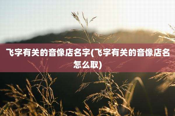 飞字有关的音像店名字(飞字有关的音像店名怎么取)