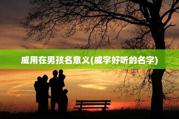 威用在男孩名意义(威字好听的名字)